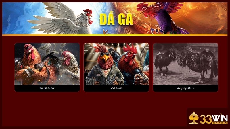 Đá gà 33WIN - Live đá gà Thomo với hơn 100+ trận đấu 4 Bạn dễ dàng lựa chọn được sảnh chơi yêu thích